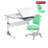 Комплект растущая парта Anatomica Study-100 + кресло Anatomica Armata серый/зеленый 